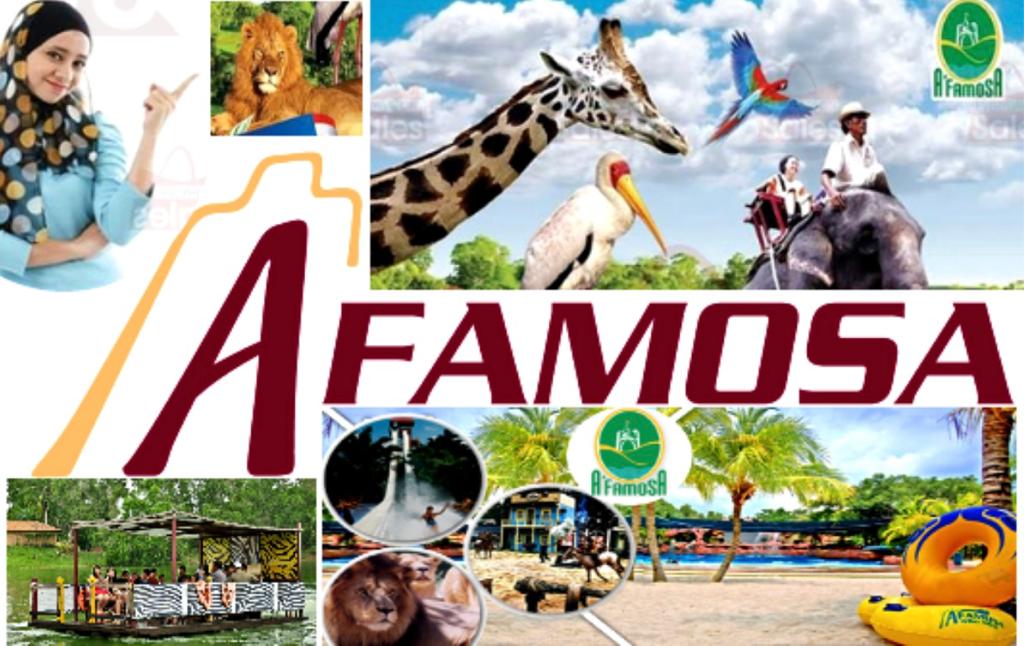 harga tiket a famosa safari